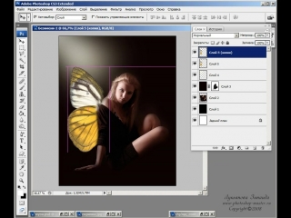 photoshop tutorials (muse)