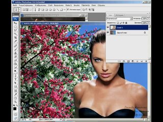 how to use a photoshop template